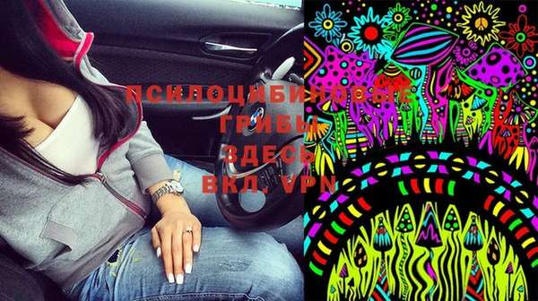 МДМА Алексеевка