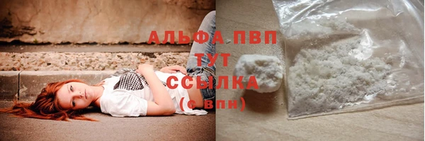 хмурый Алексин