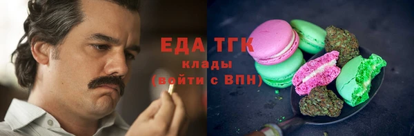 хмурый Алексин