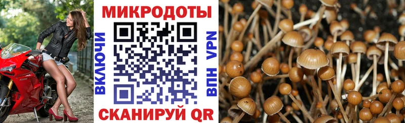 Псилоцибиновые грибы Psilocybe  МЕГА маркетплейс  Гдов 